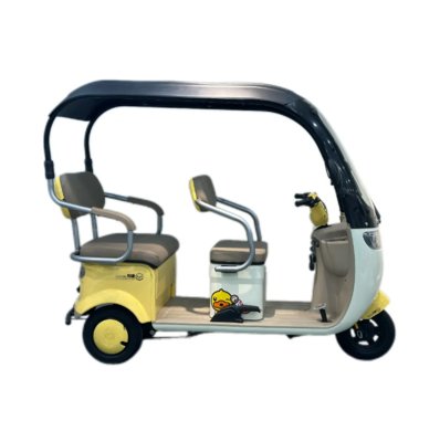 202403B02 Electric transport vehicle