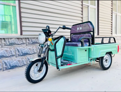 202403B01 Electric transport vehicle